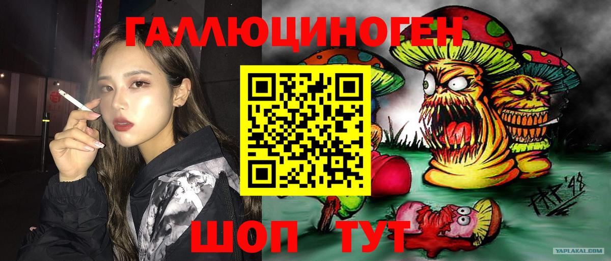 Галлюциногенные грибы Psilocybine cubensis Качканар