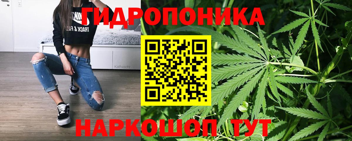 Качканар  Каннабис гибрид  Вход с VPN  МАРИХУАНА гибрид  Конопля THC 21%  Бошки марихуана индика 